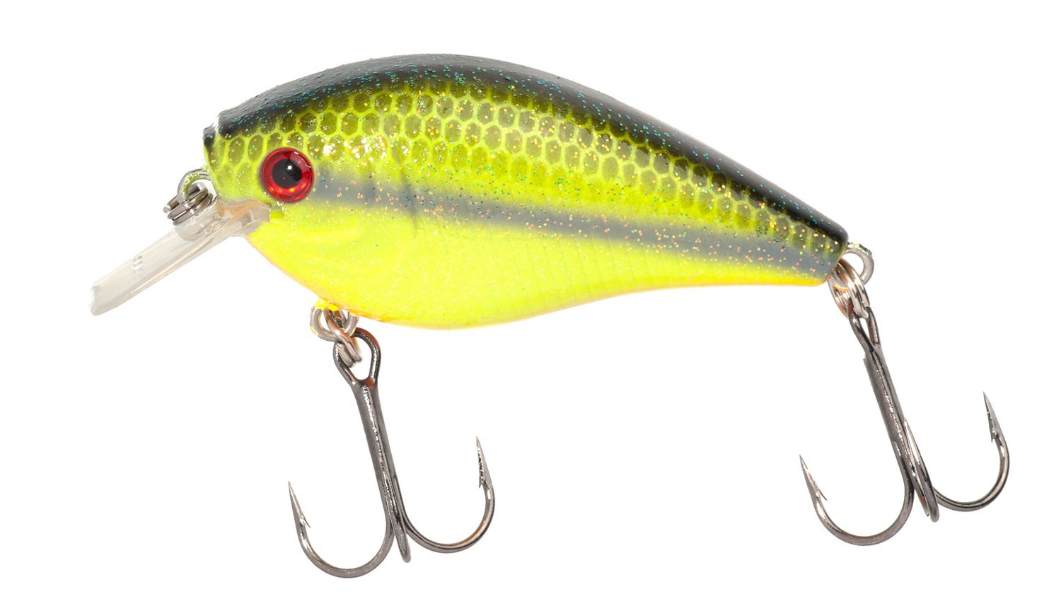 Chartreuse Shad
