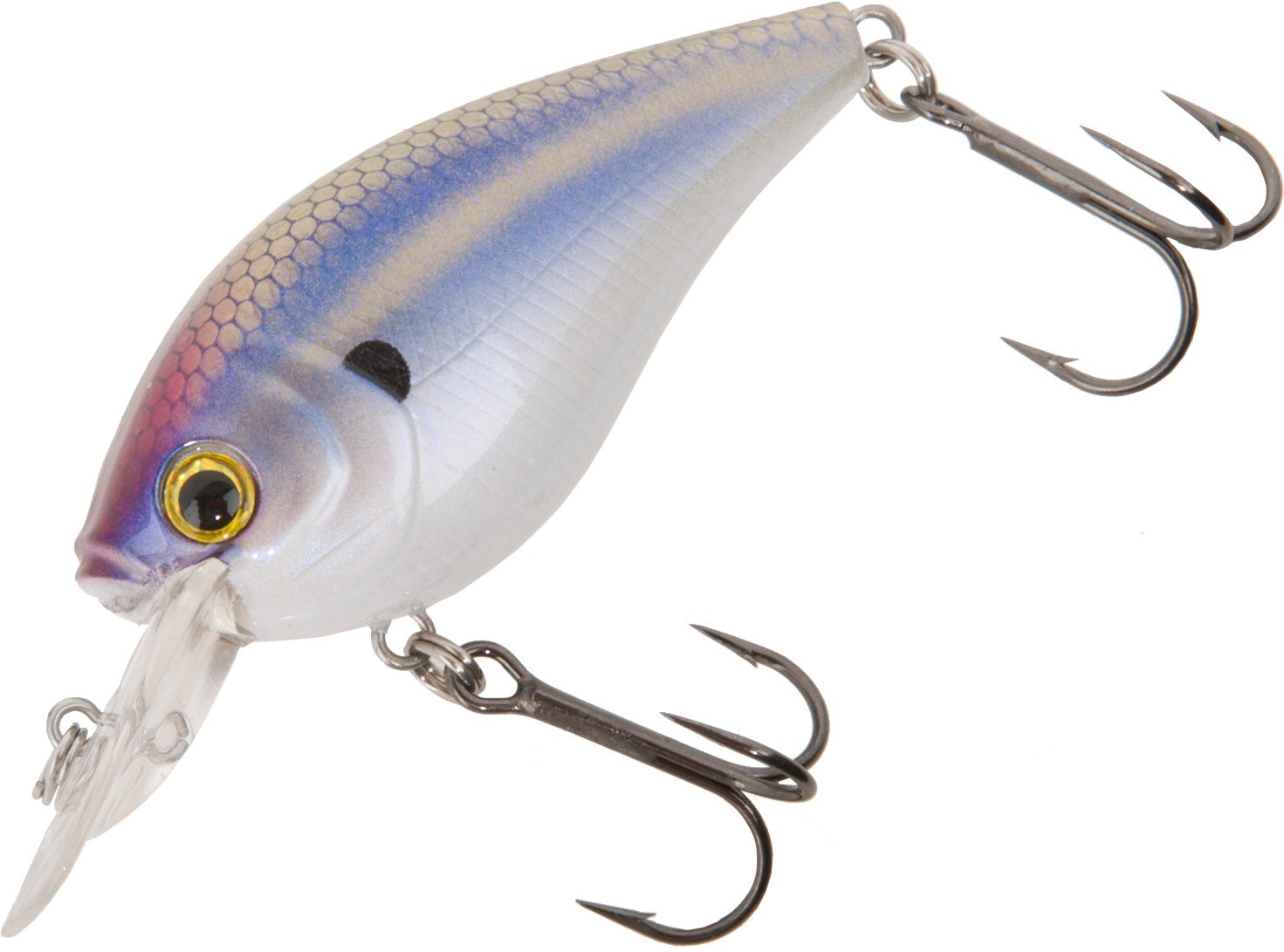 Smelt