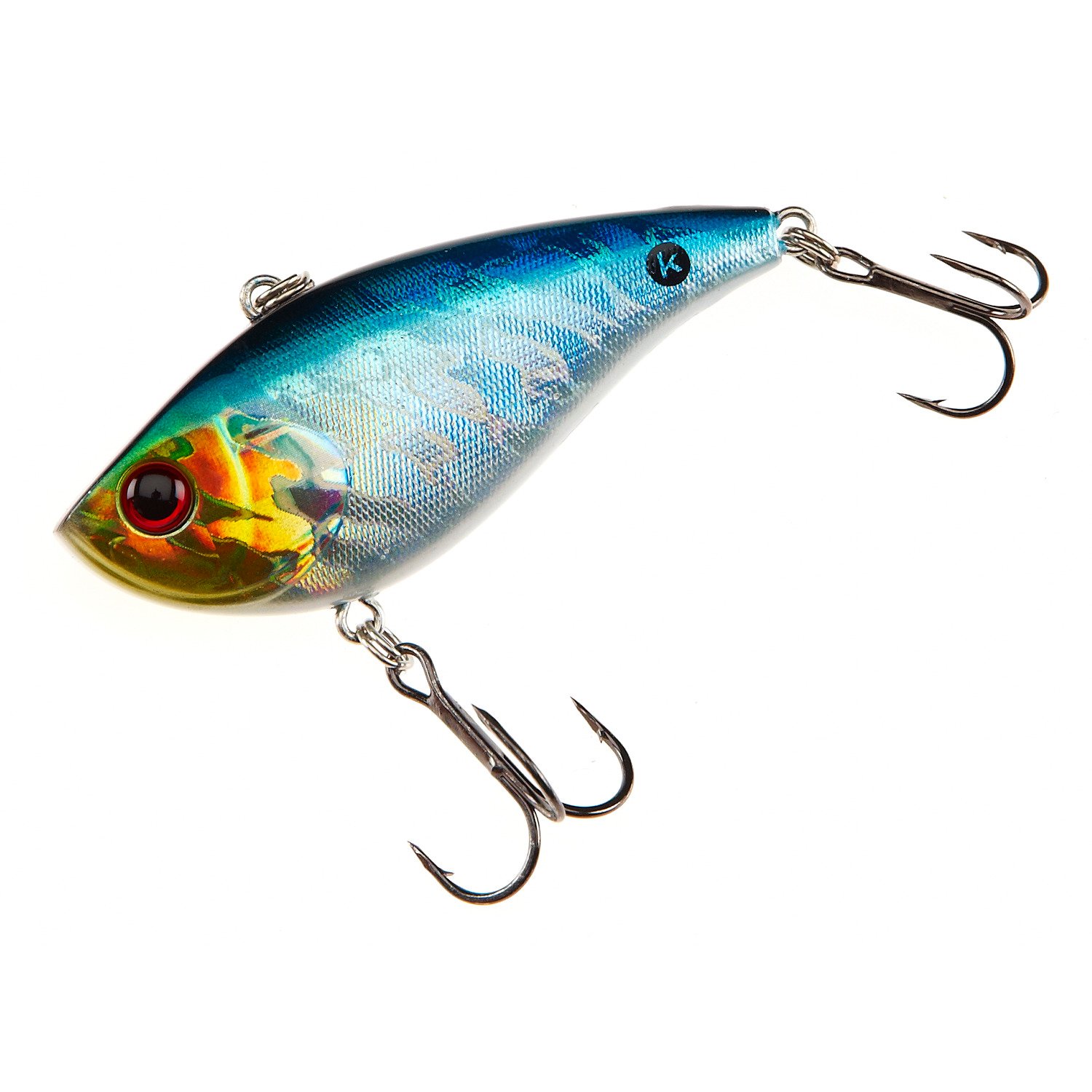 Blue Shiner