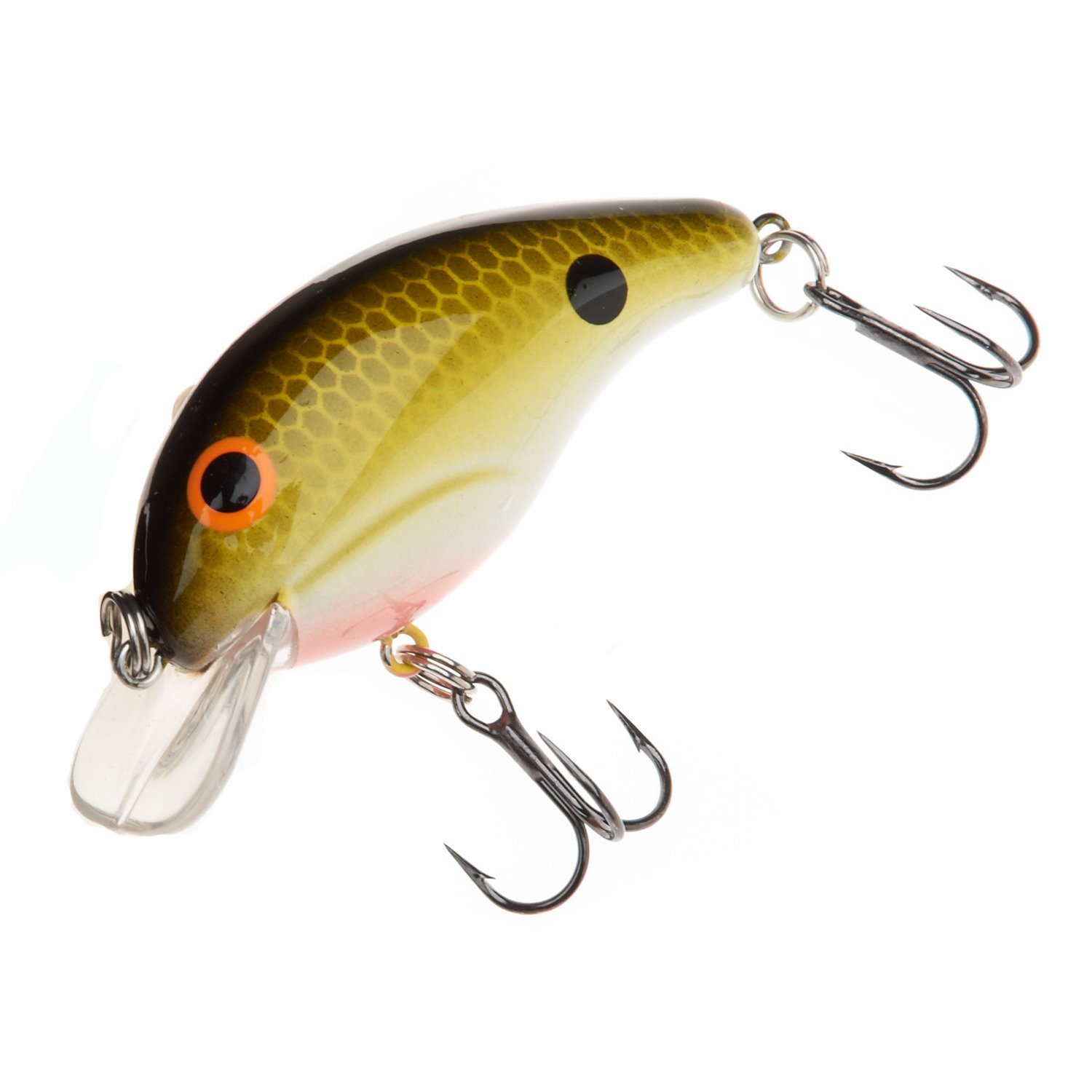 Tennessee Shad
