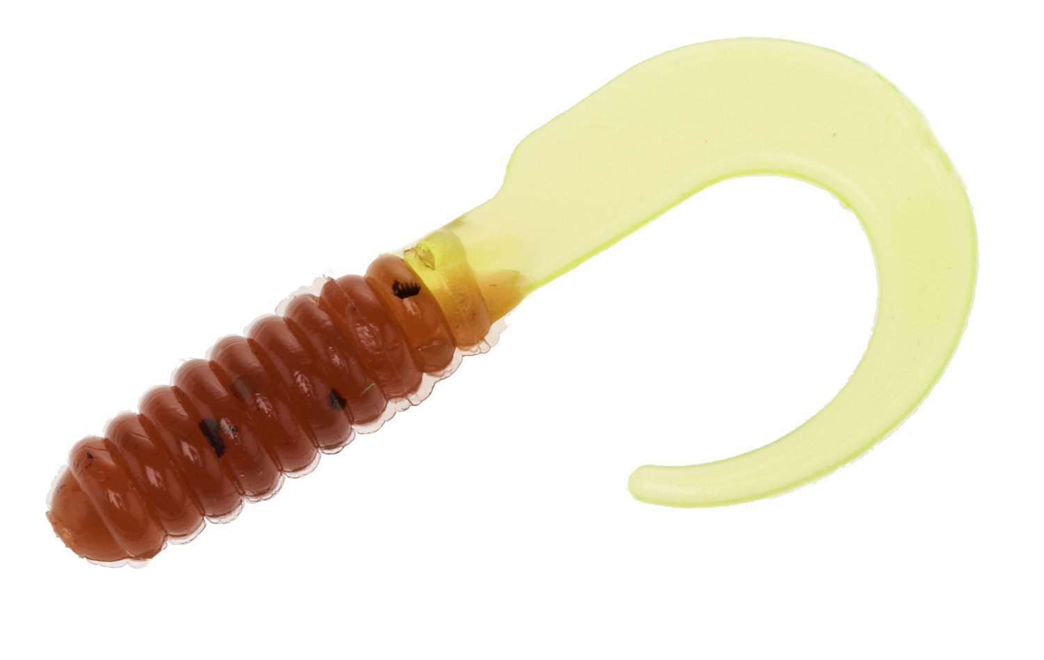 Pumpkinseed-Chart Tail