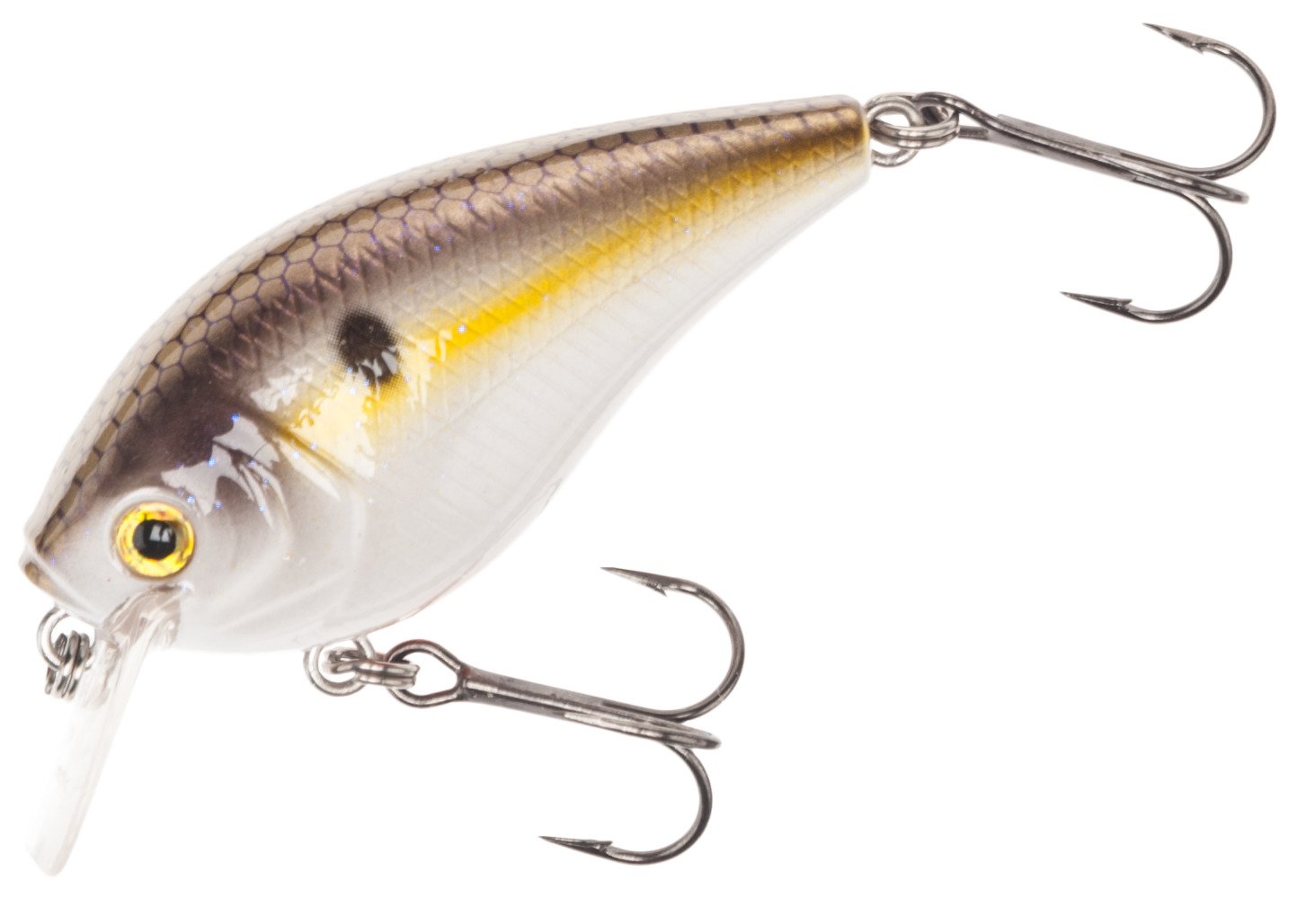 Hickory Shad