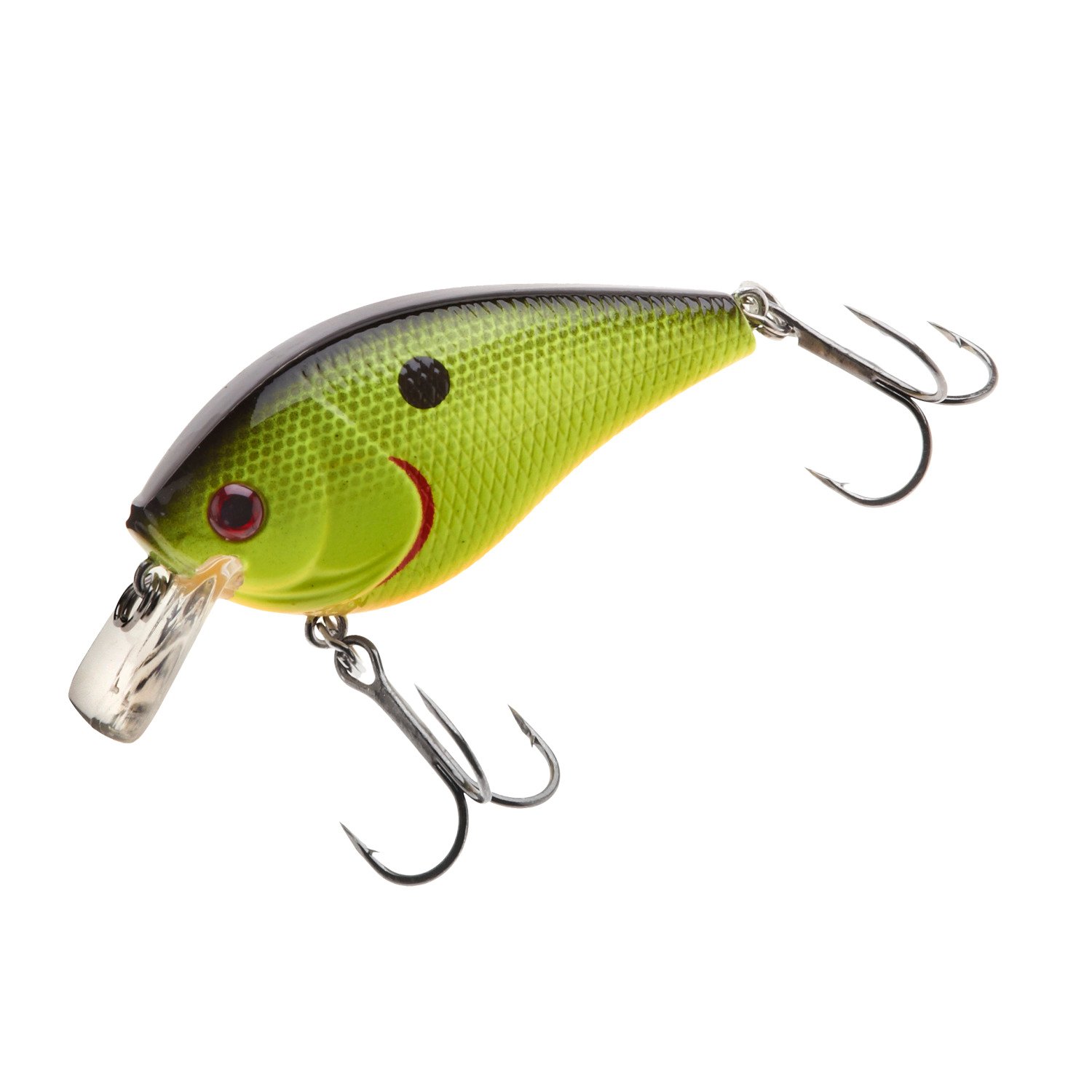 Black Back Chartreuse