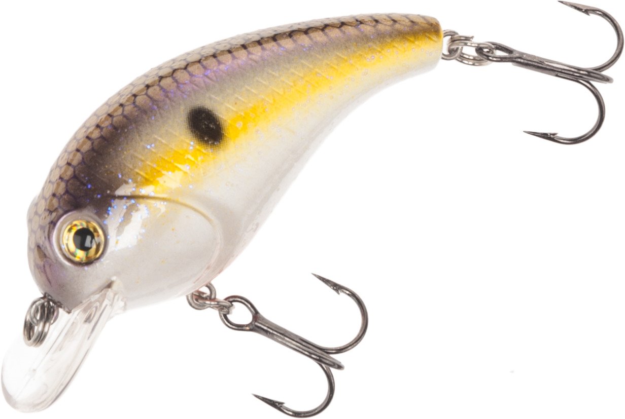 Hickory Shad