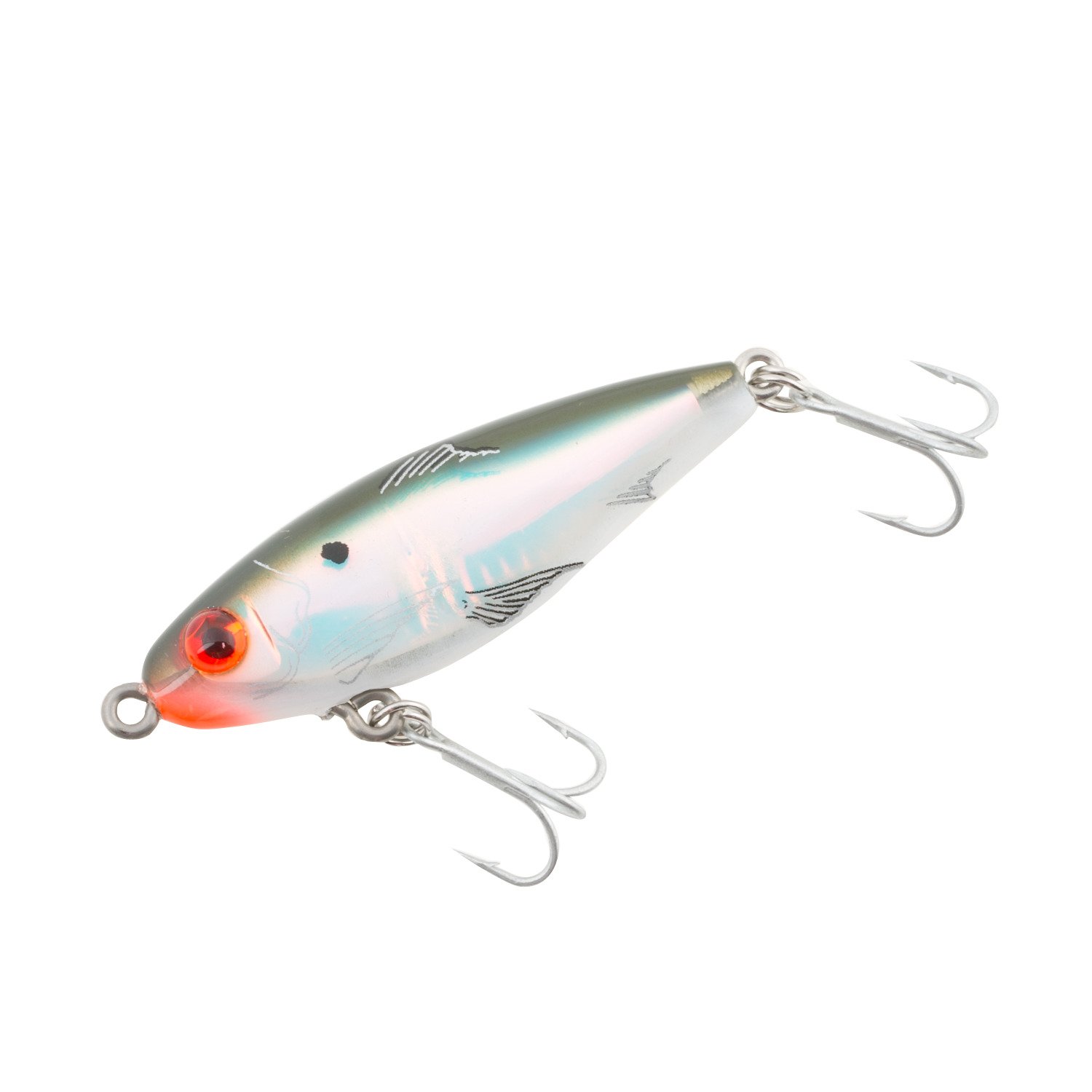 Green Back, White Belly, Silver Luminescence