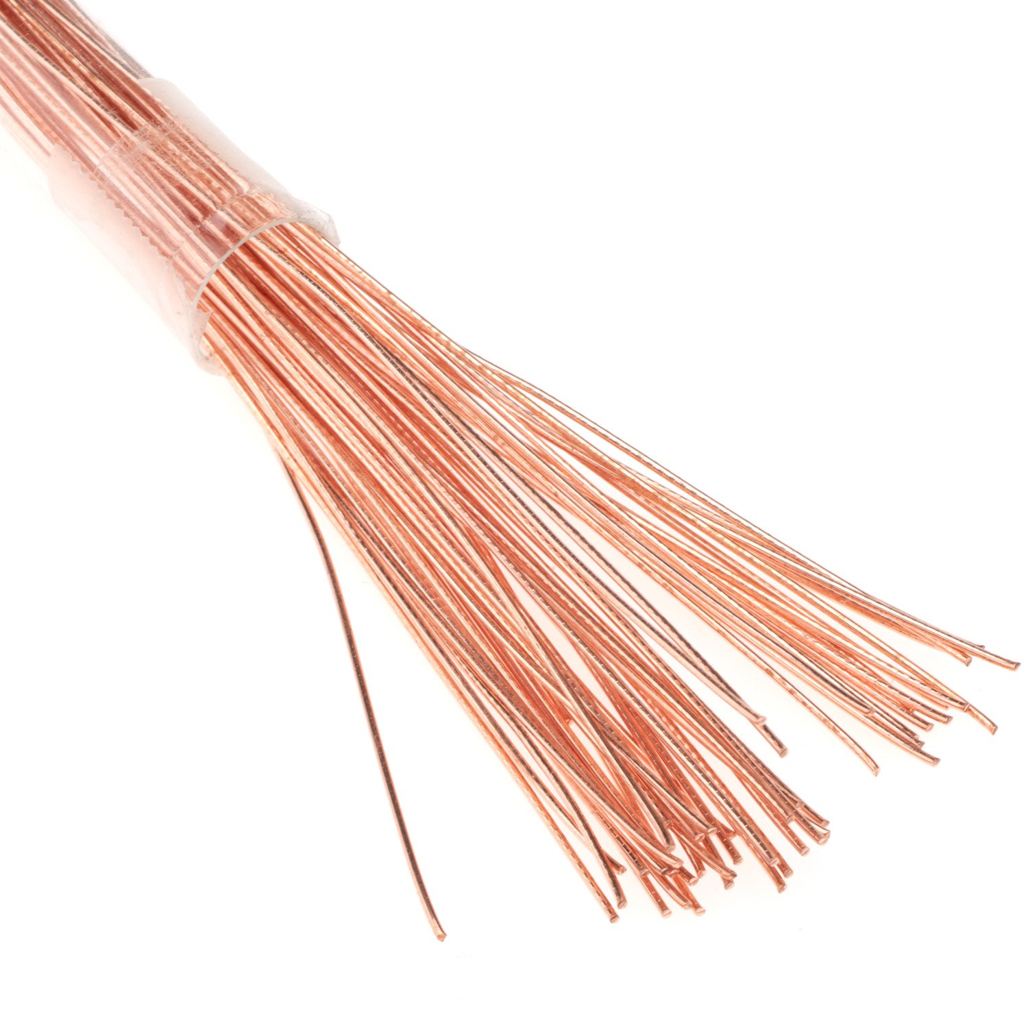 Rite Angler 9