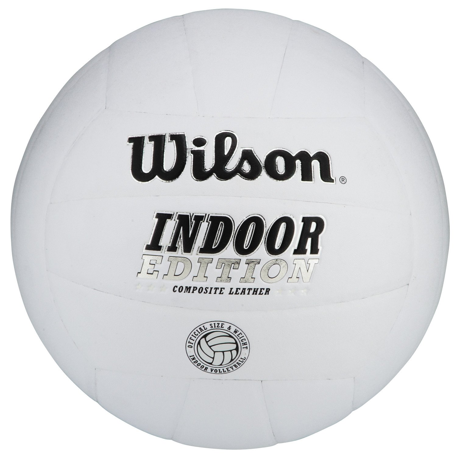 Wilson Indoor Volleyball