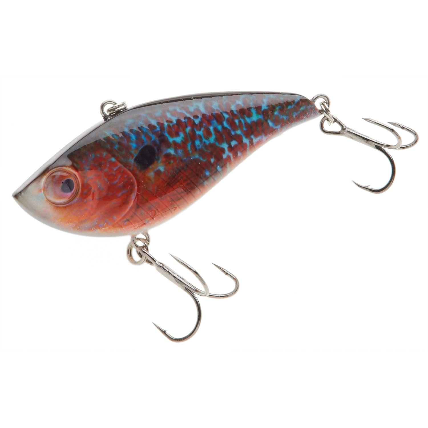 Longear Sunfish