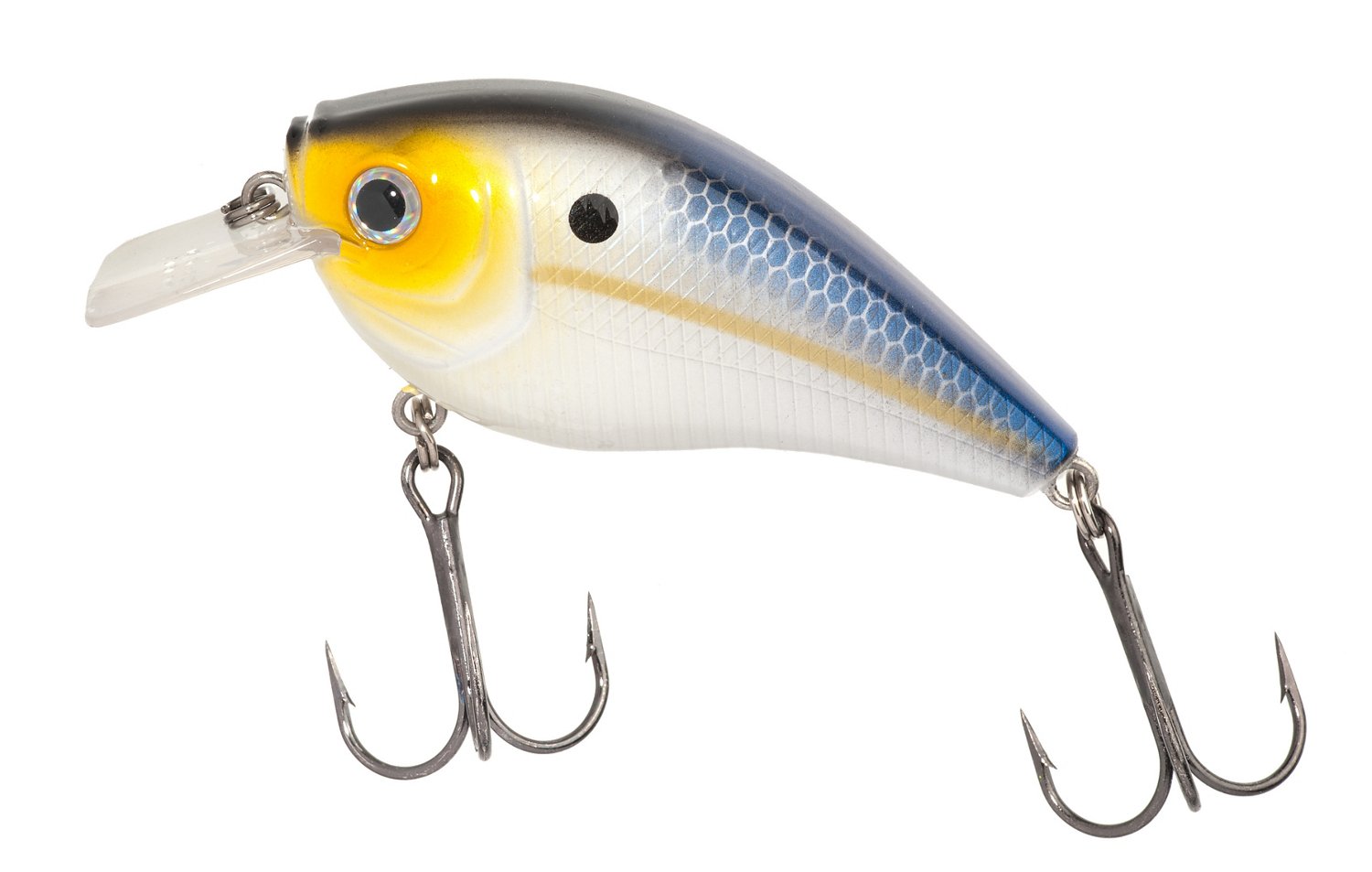 H2O XPRESS™ CRM-NR Silent Crankbait