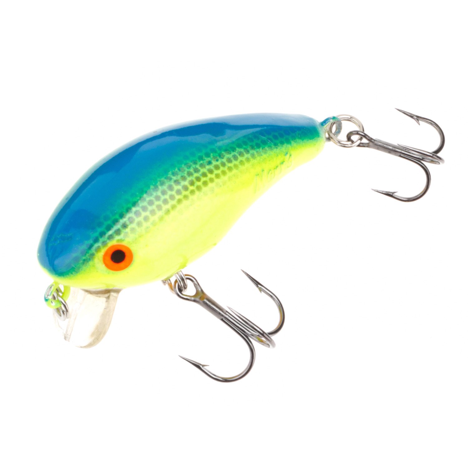 Blue/Chartreuse