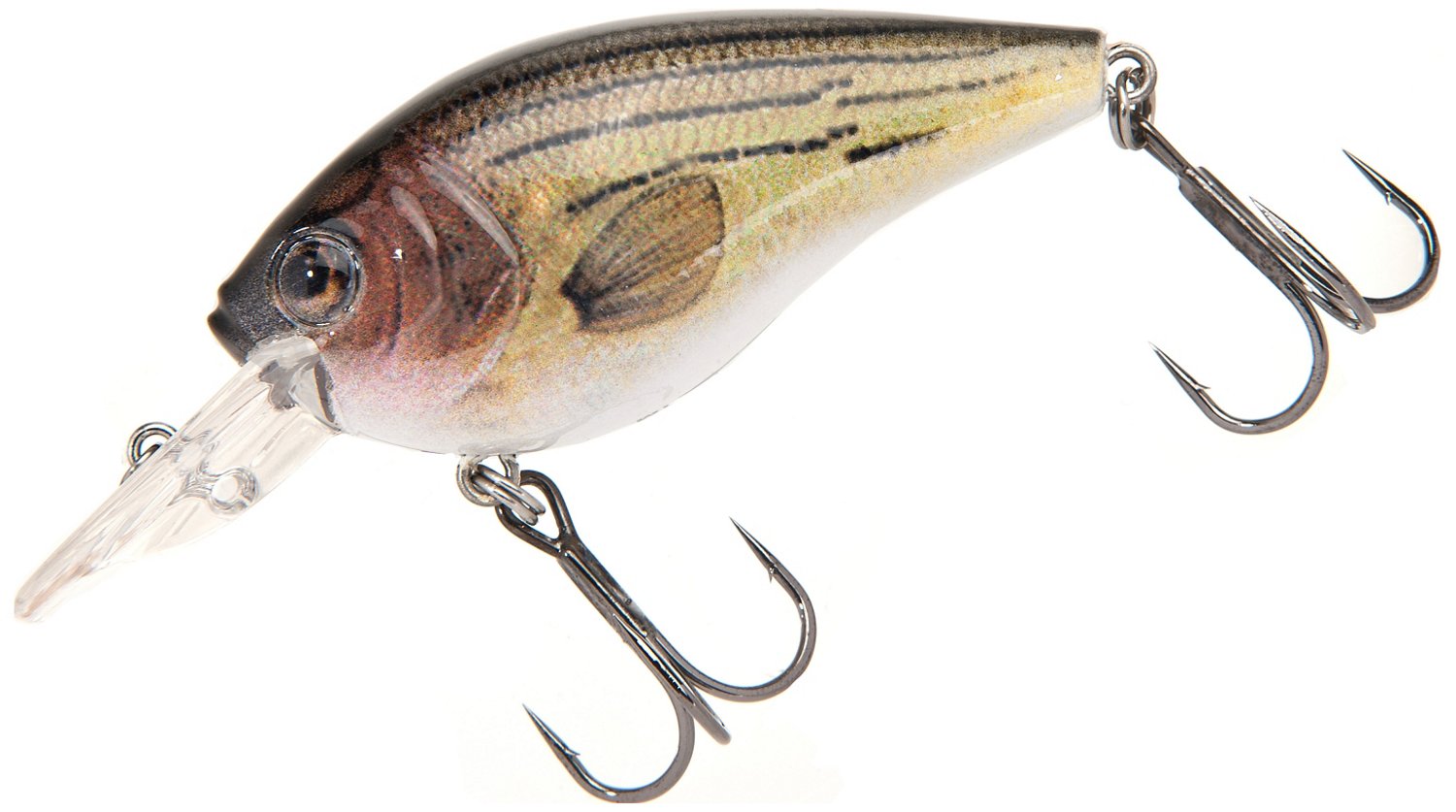 Barfish