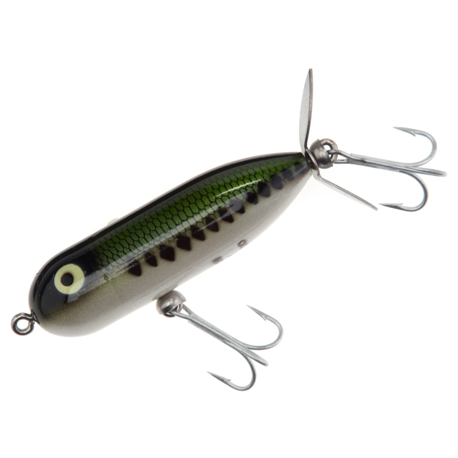 Baby Bass