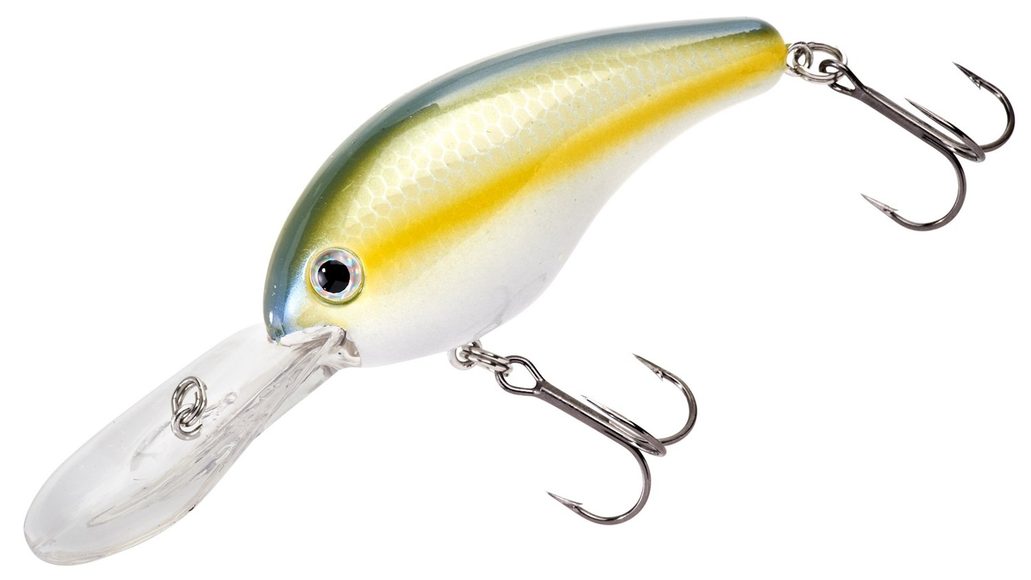 Sexy Blue Back Herring