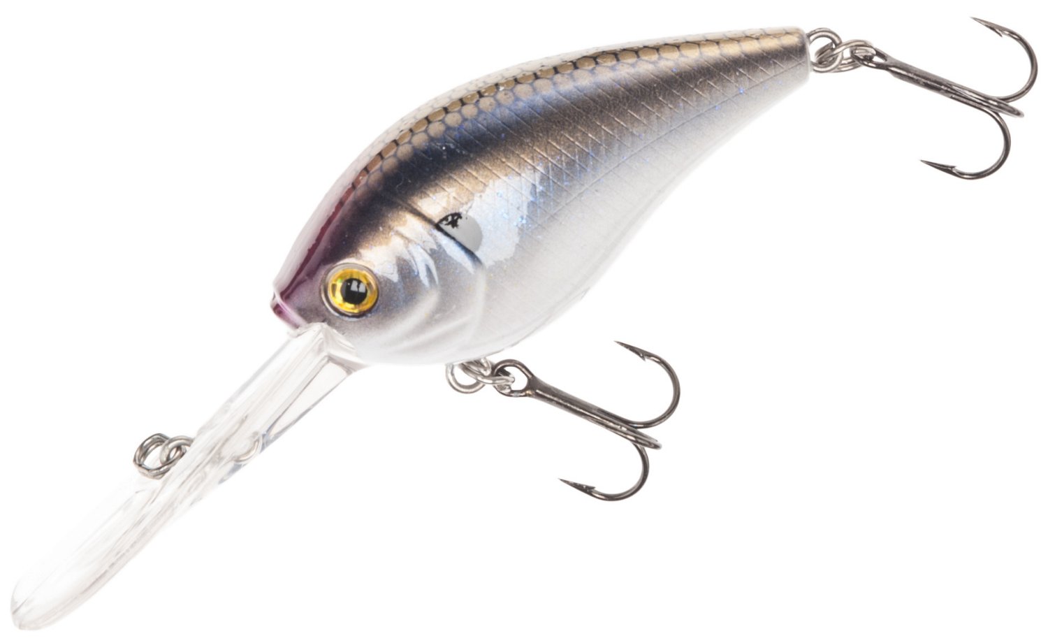 Smelt