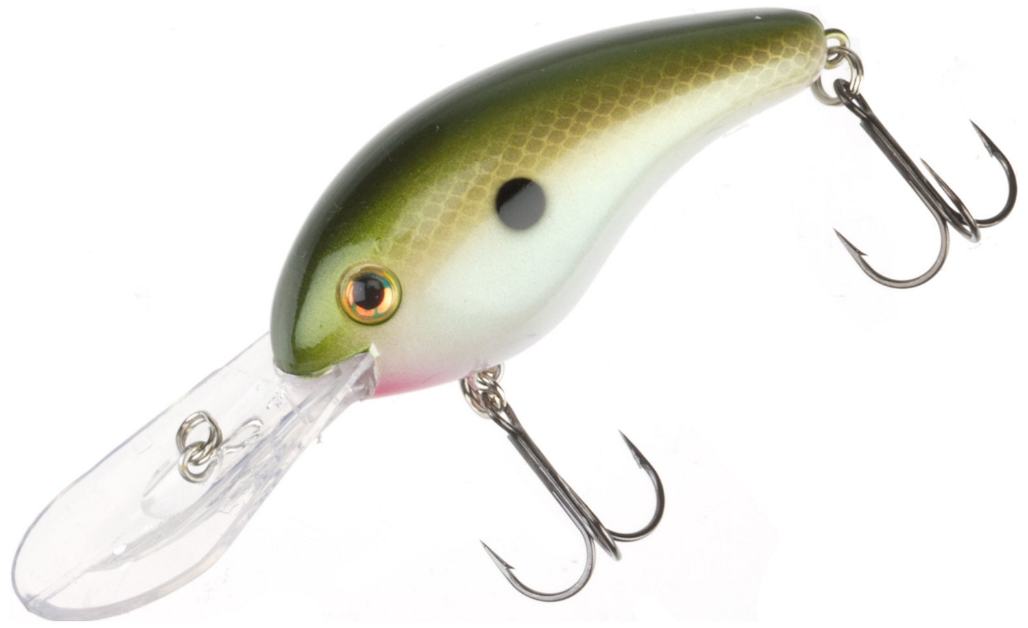 Tennessee Shad