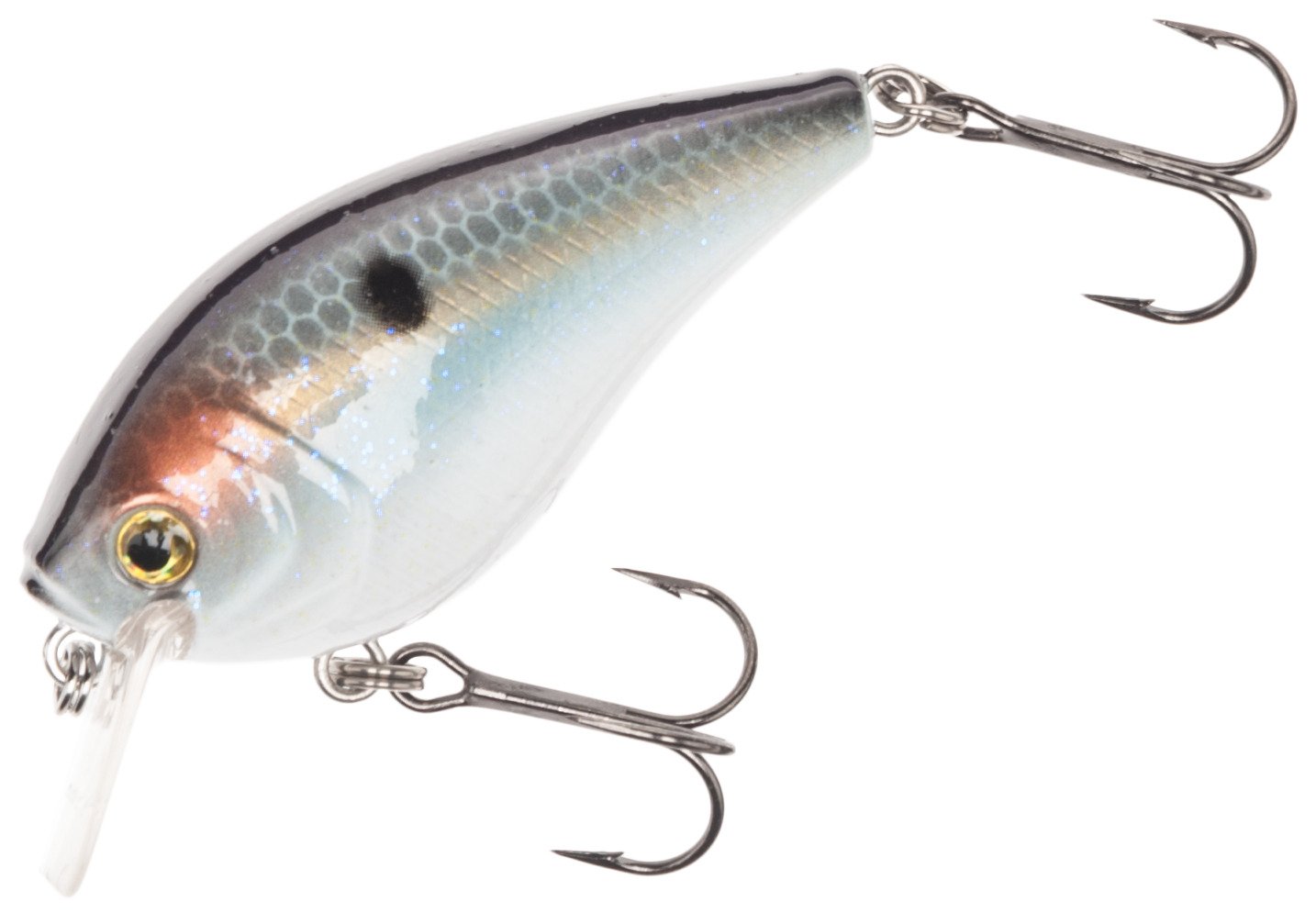 H2O XPRESS™ CRS-NR Silent Crankbait