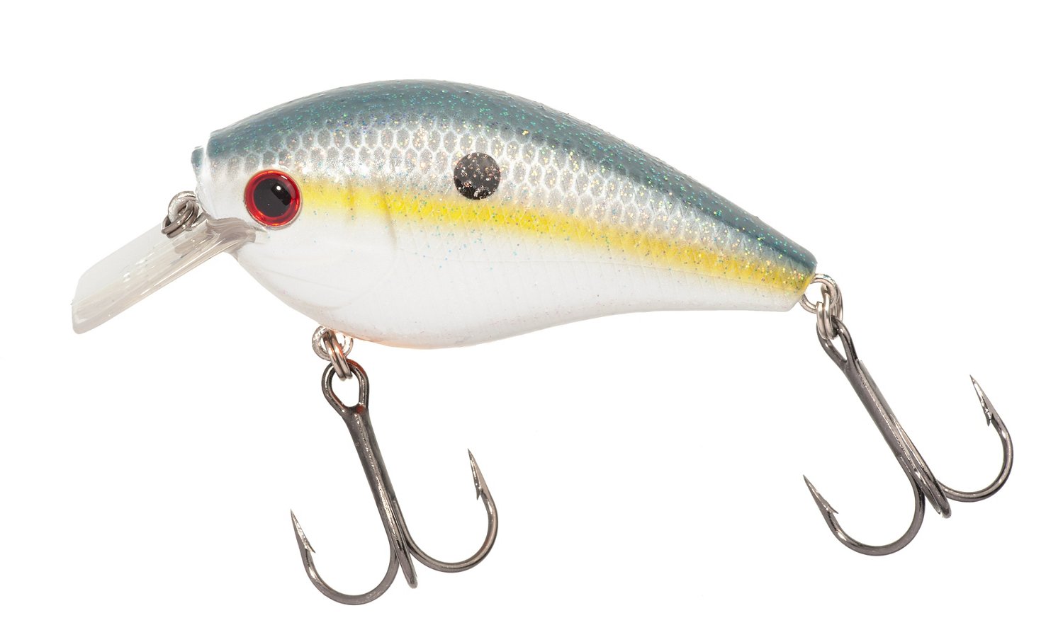 H2O XPRESS™ CRM-NR Silent Crankbait