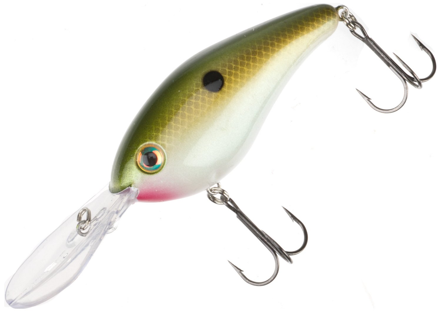 Tennesse Shad