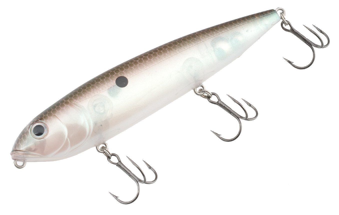 Green Gizzard Shad