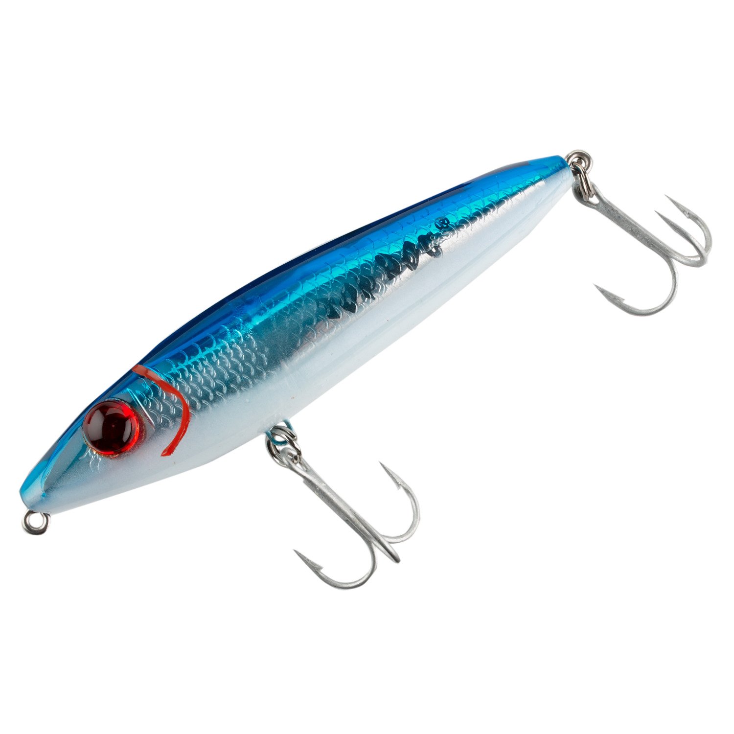 Blue Back/White Belly/Silver Scale