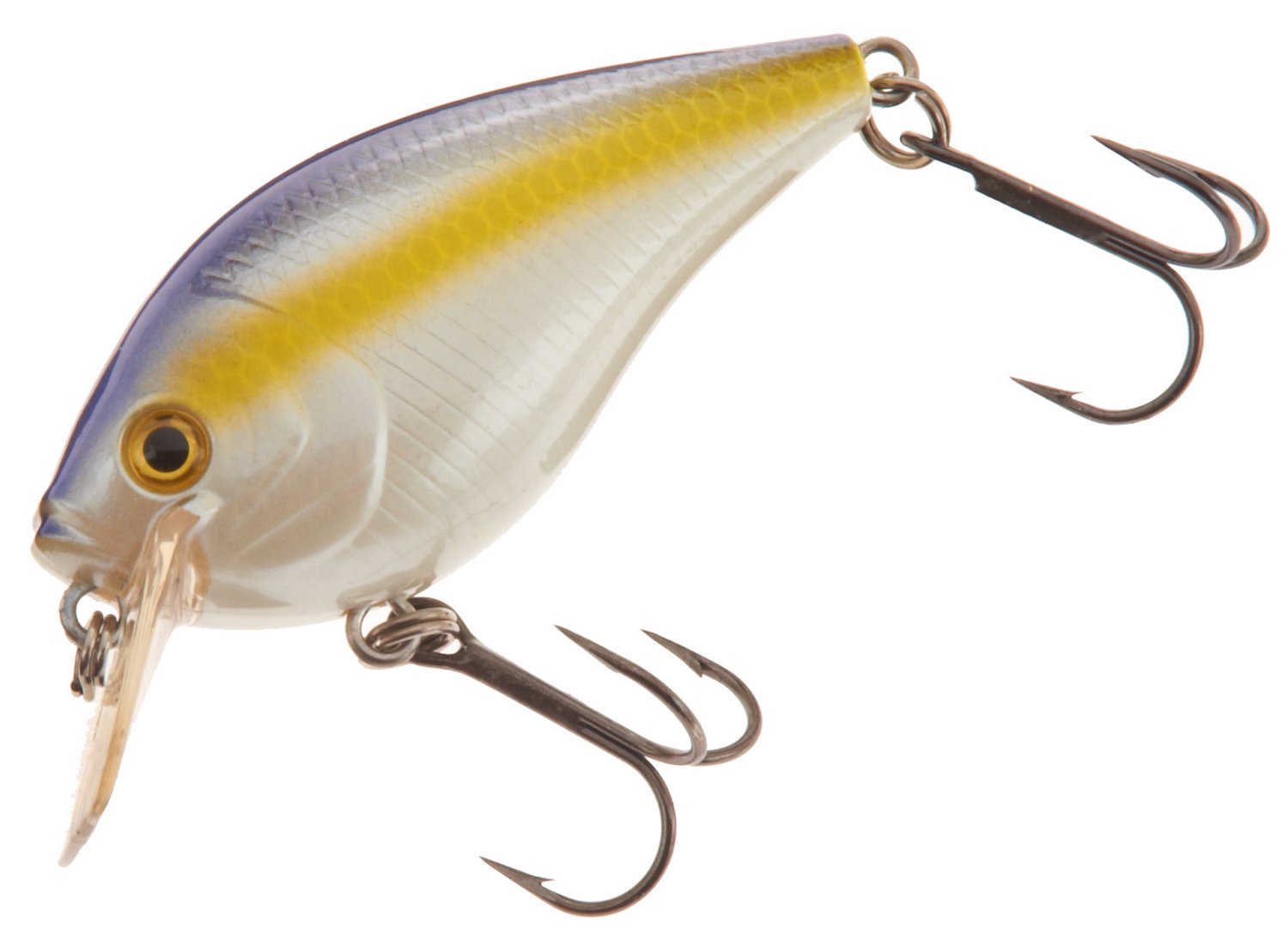 Sexy Blue Back Shad
