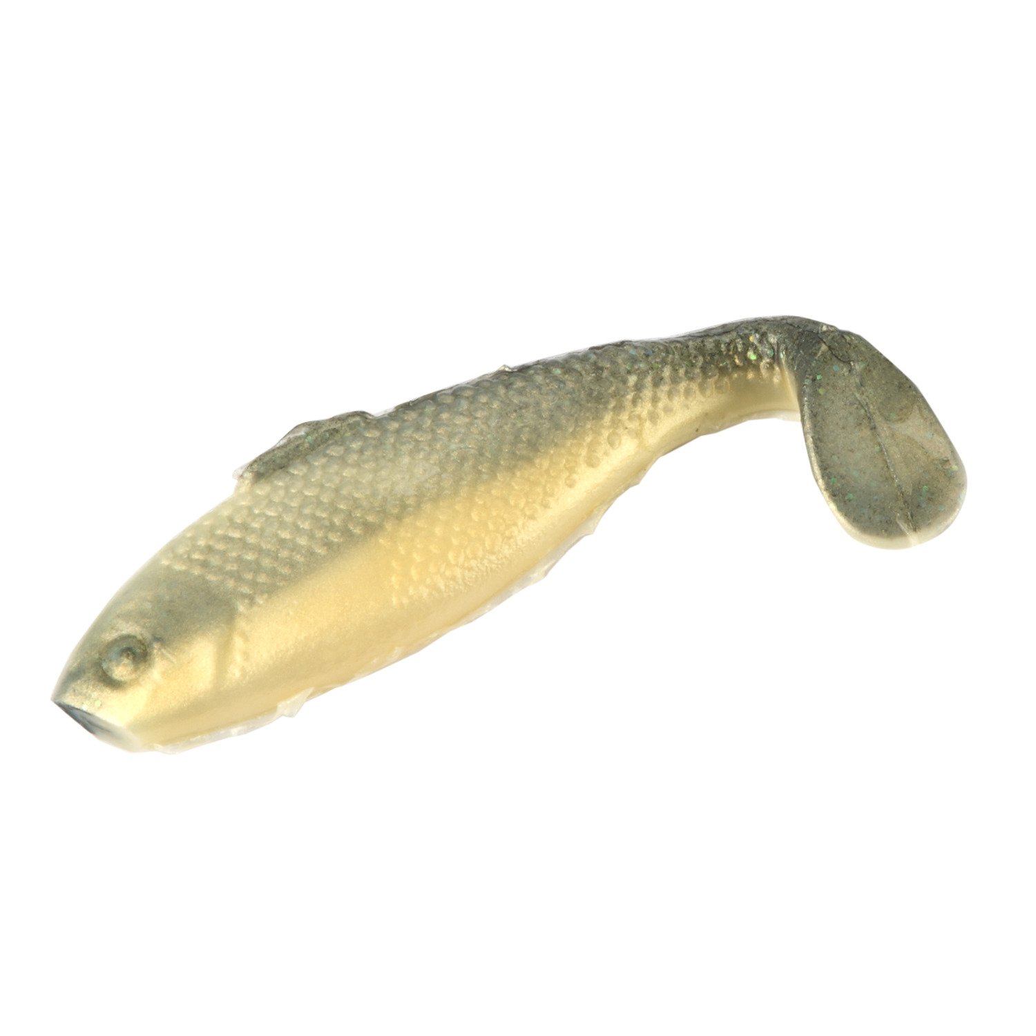 Sardine