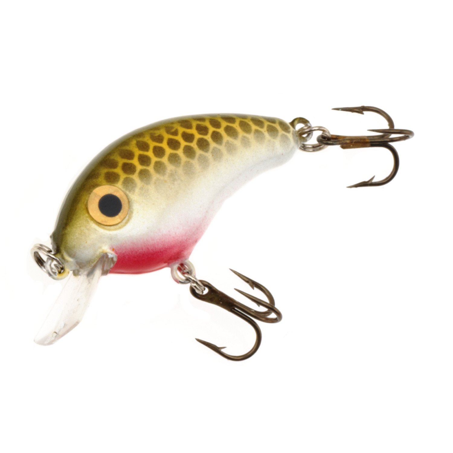 Tennessee Shad