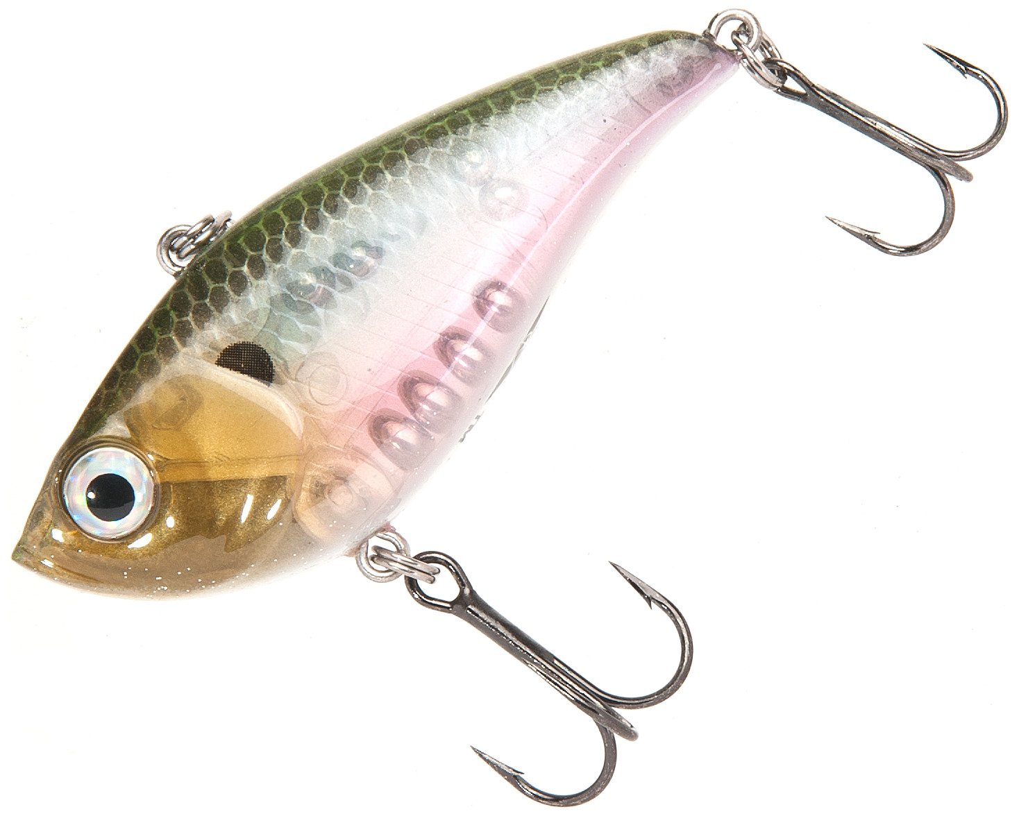 Ghost Shad