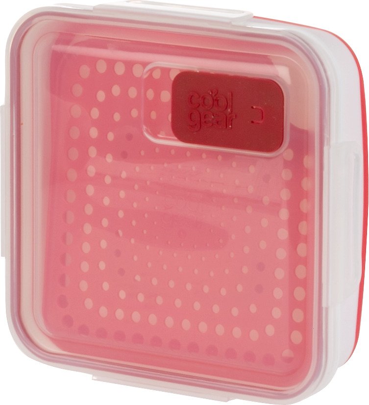 Cool Gear 50 oz. Collapsible Steamer Storage Container