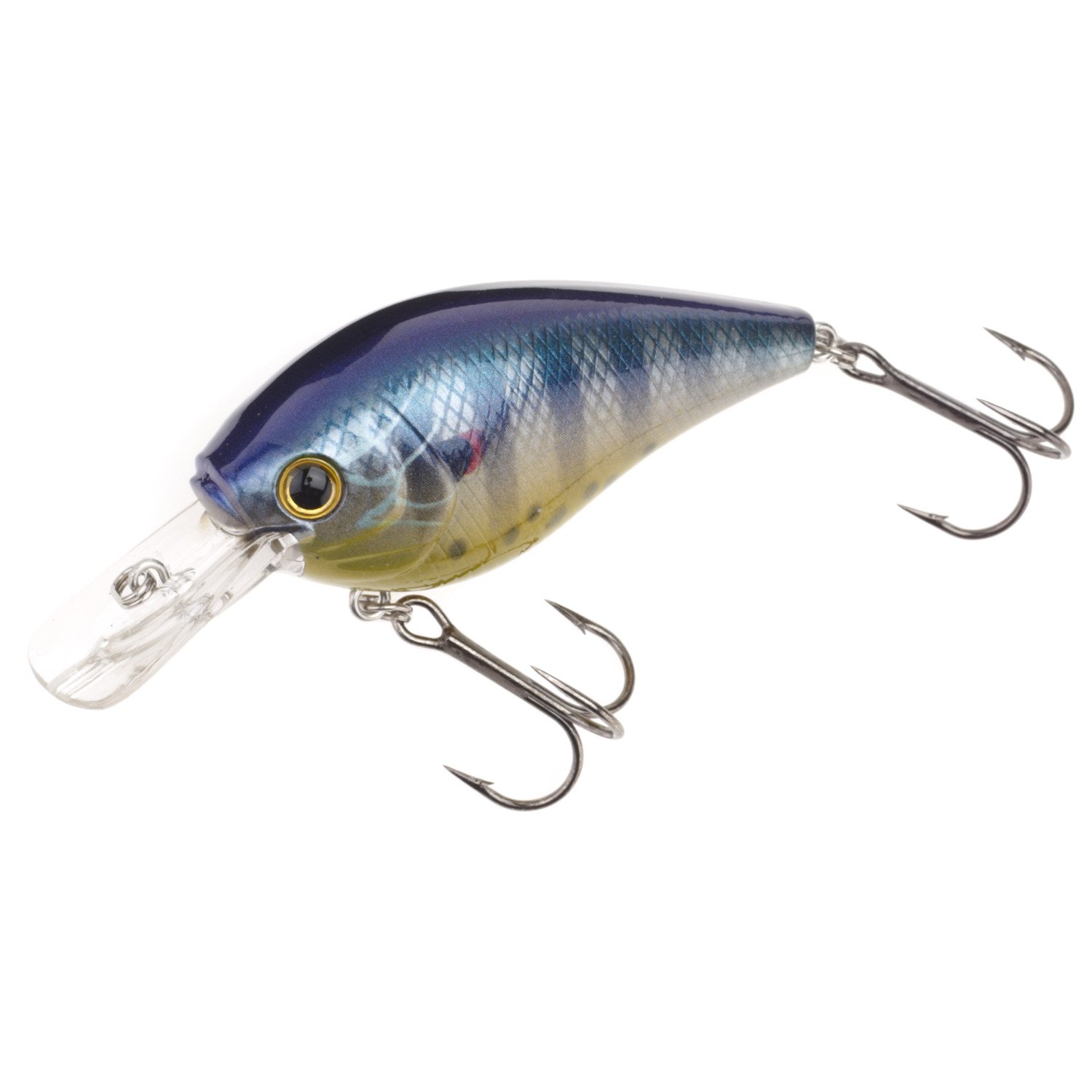 Redear Sunfish