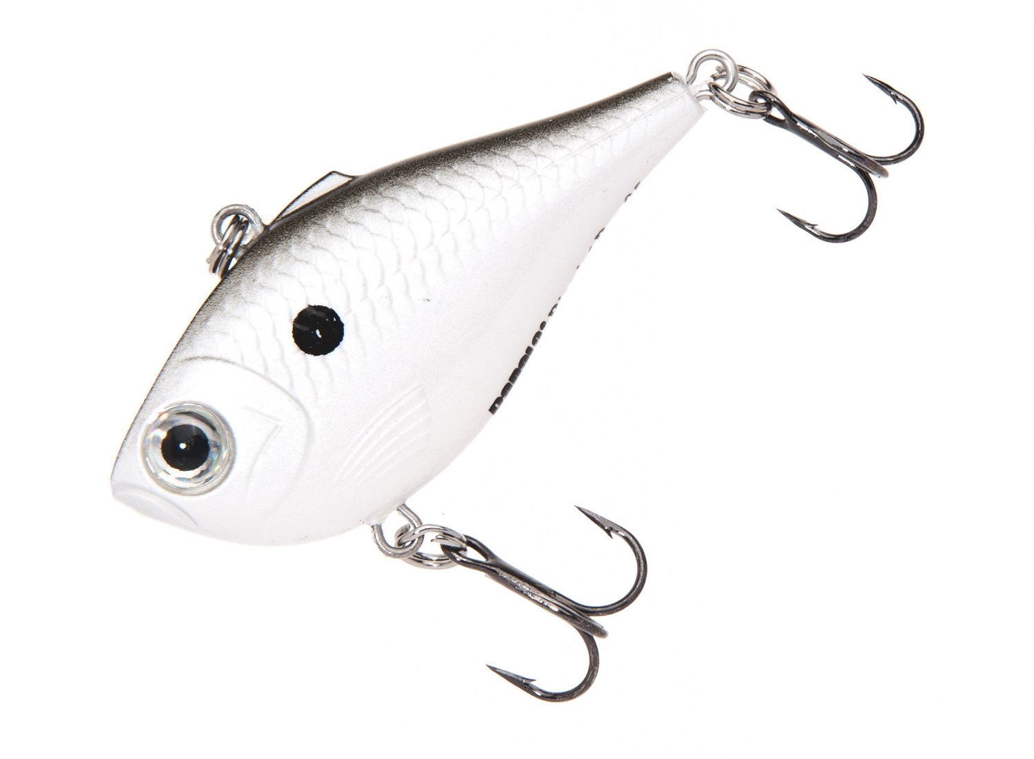 Pearl Gray Shiner