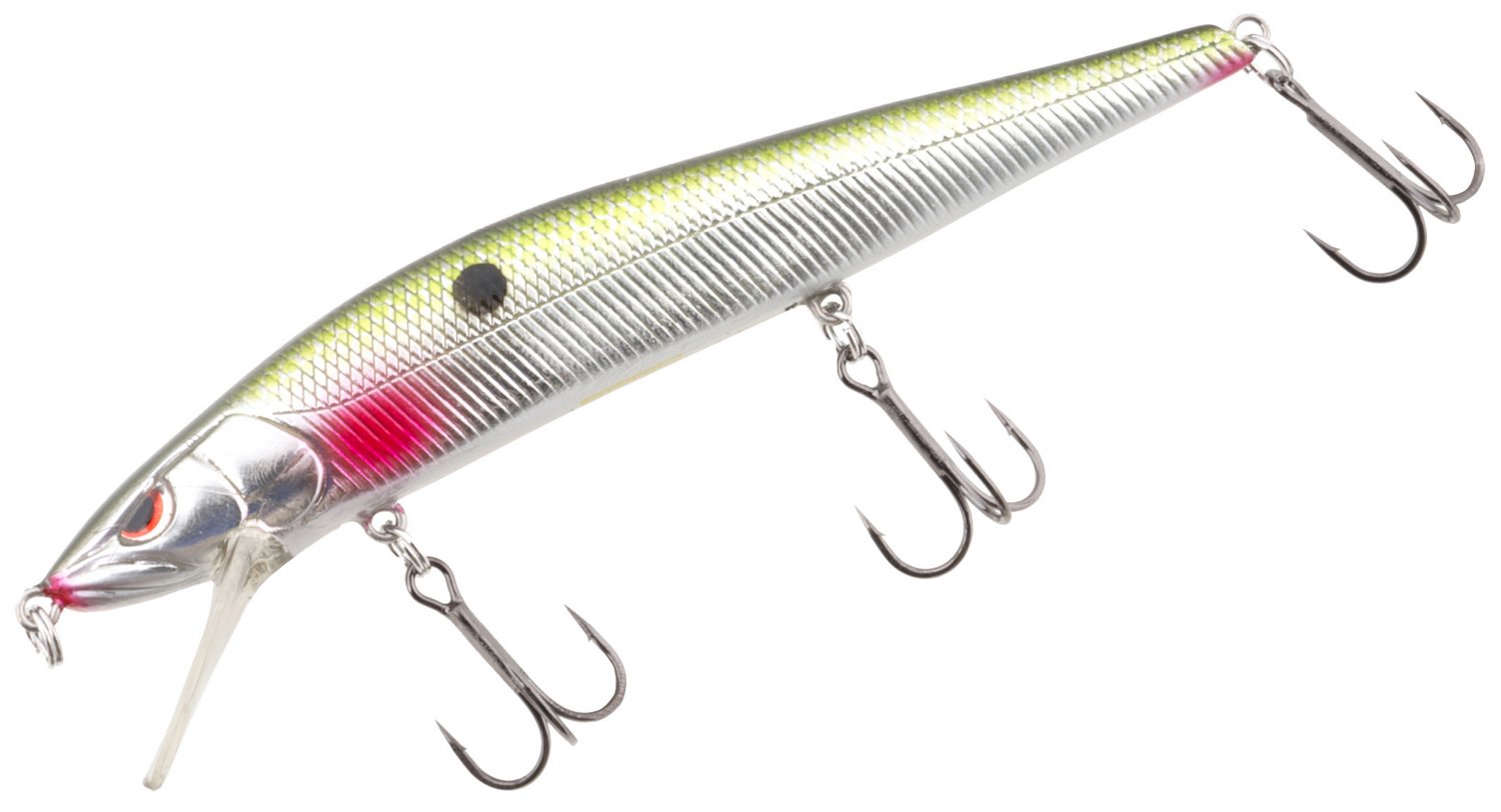 Chrome Shad