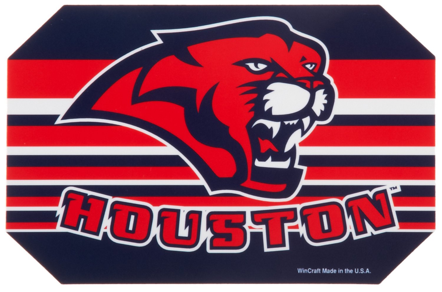 WinCraft NCAA Vinyl Magnet Set thumbnail