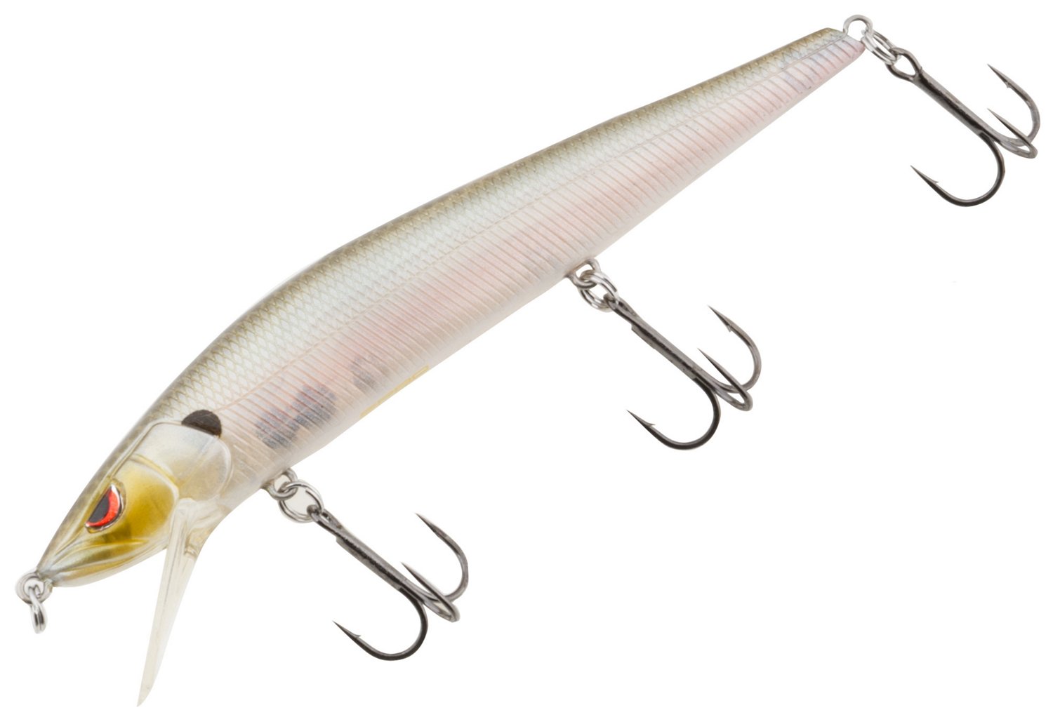 Spooky Shad