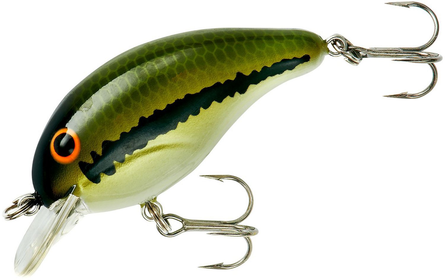 Baby Bass