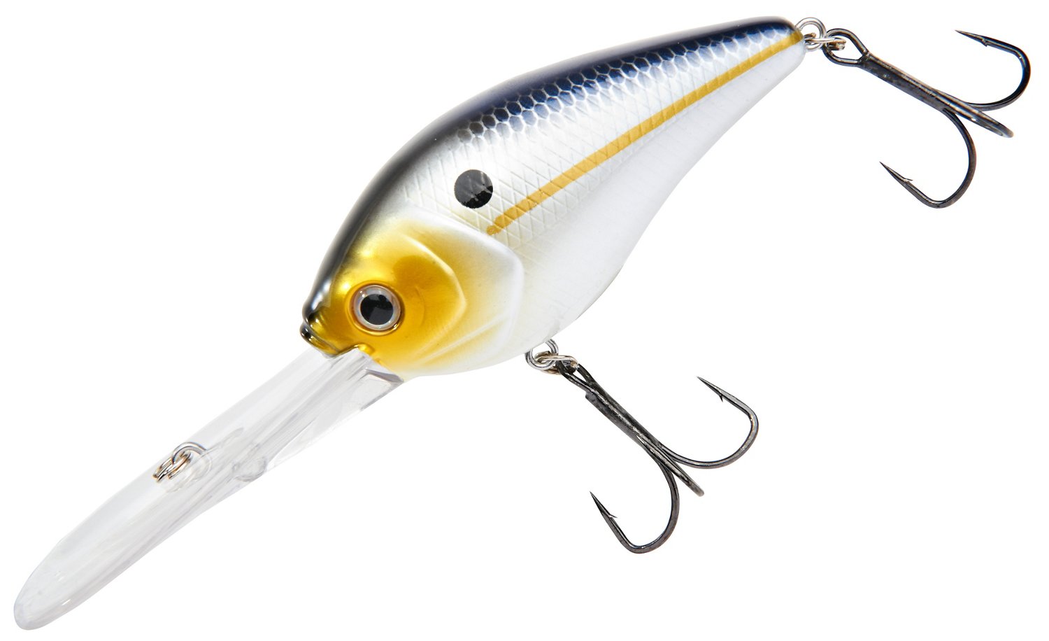 Best5Zach Outdoors: Academy Sports & Outdoors H2O XPRESS CRD Deep Diving  Crankbait Product Review