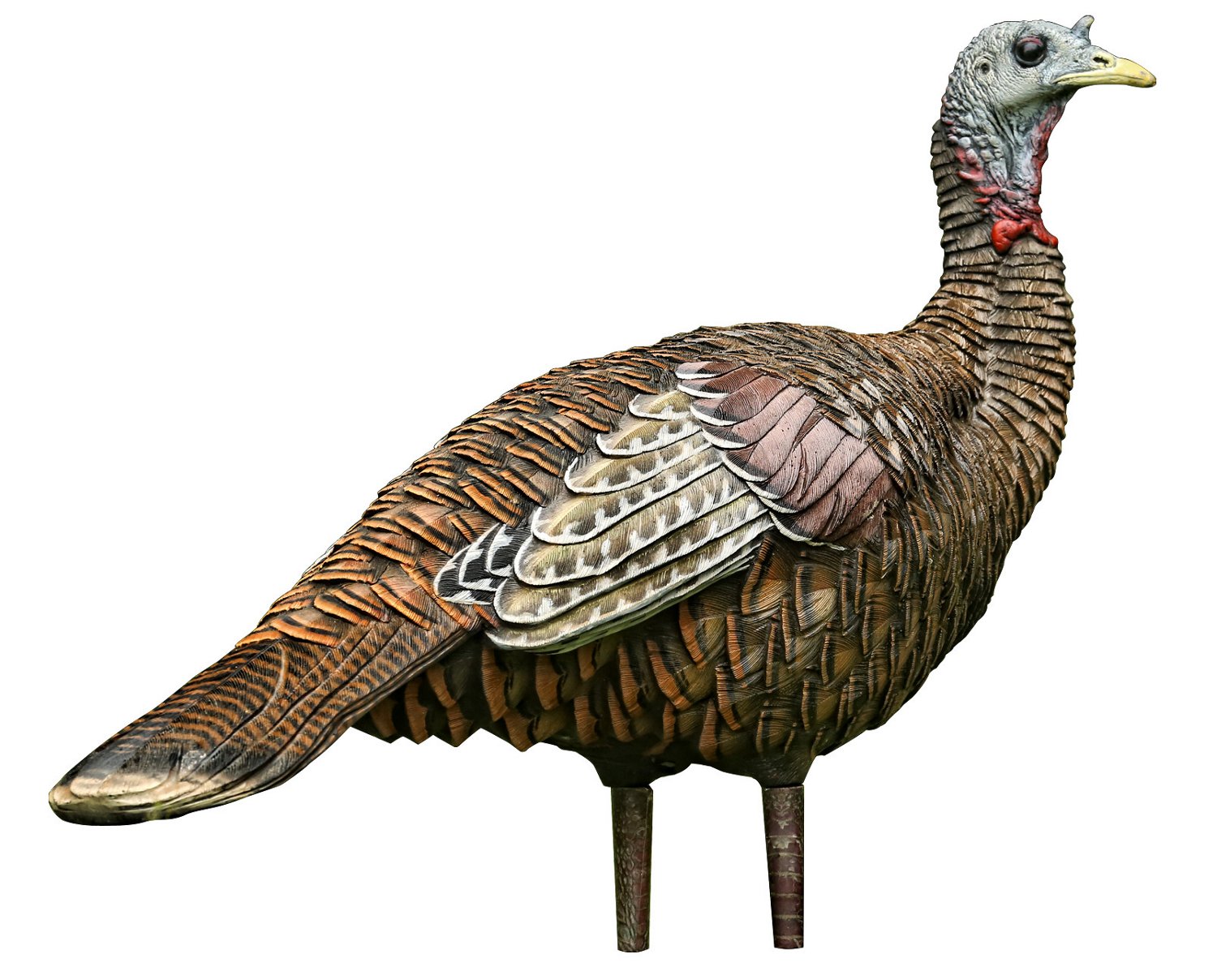 Turkey Decoys Decoys For Turkeys, Hen Decoys, Jake Decoys, 3D Decoys Academy