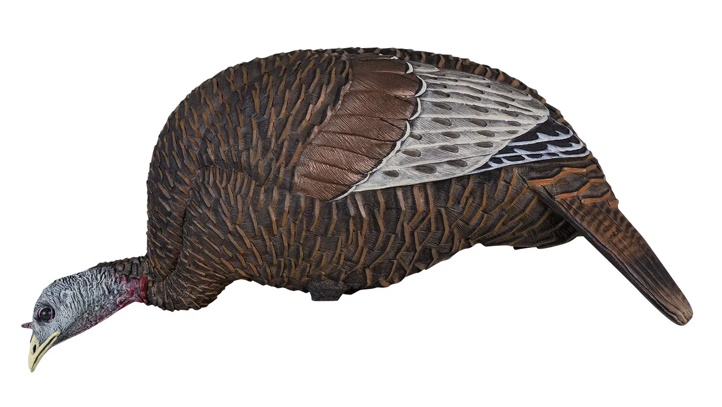 Turkey Decoys Decoys For Turkeys, Hen Decoys, Jake Decoys, 3D Decoys